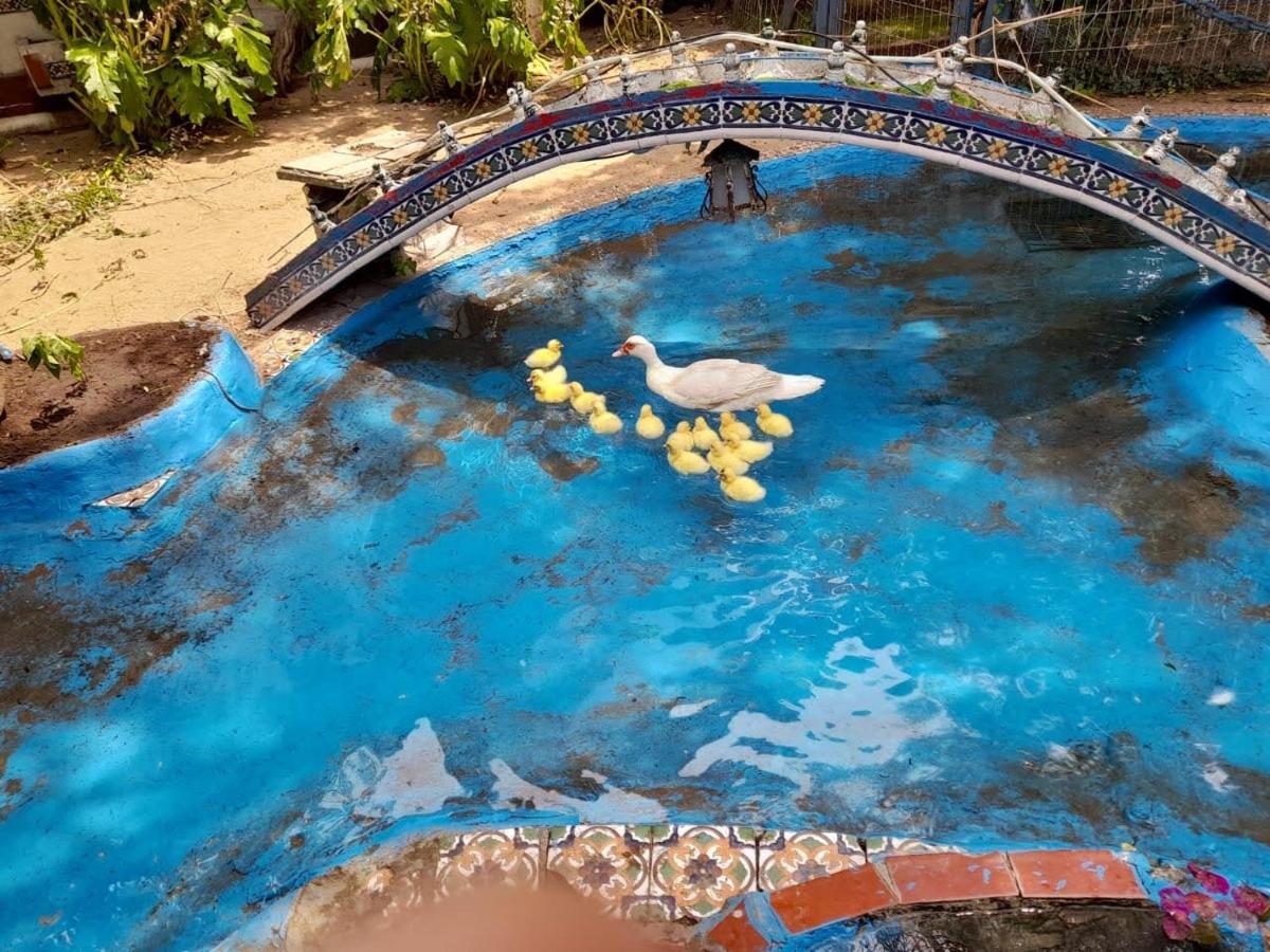 La Posada Del Sol Вілья-Хесель Екстер'єр фото