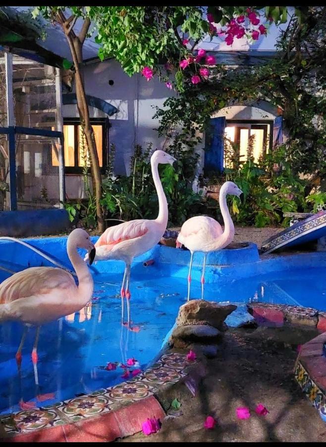 La Posada Del Sol Вілья-Хесель Екстер'єр фото